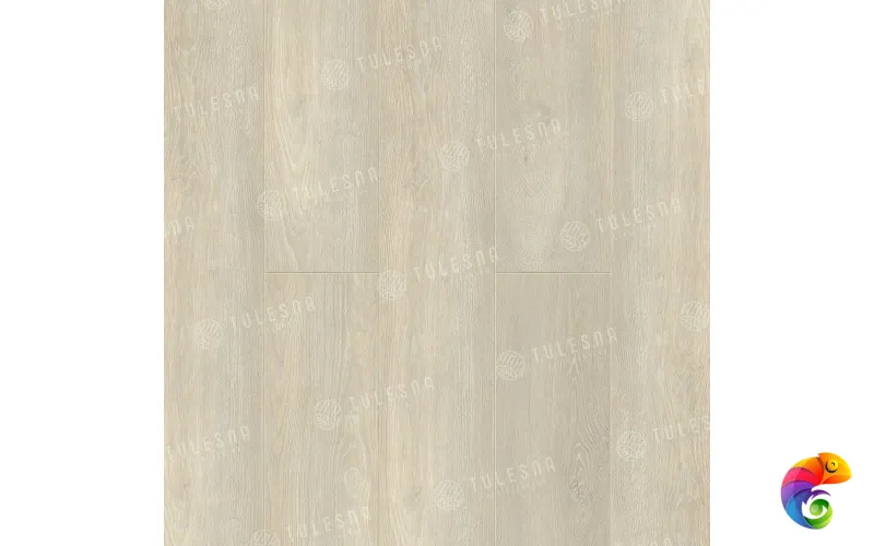 DIRETT0 1004-1