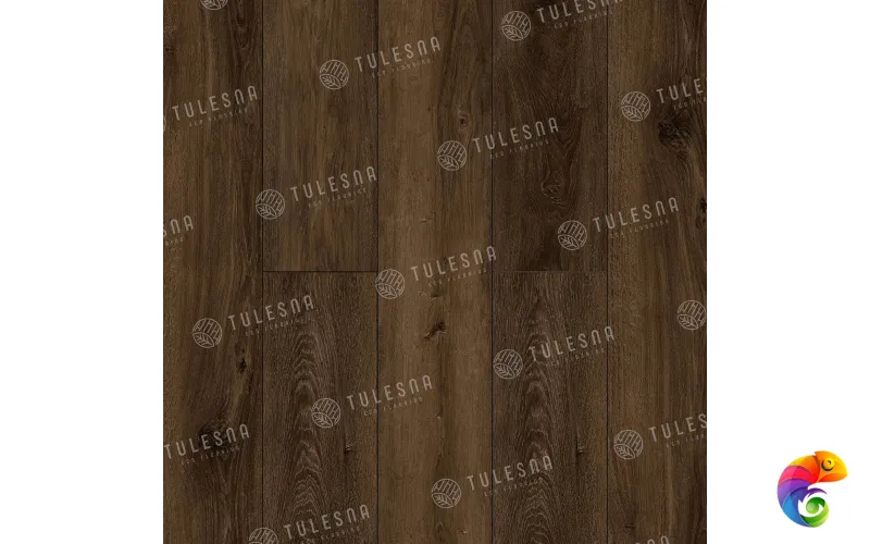 CIELO 1004-12