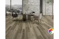 FORESTA 1004-13