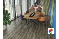 Logen 1022-22