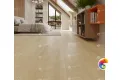 SPC ламинат Тихий лес ЕСО 9-13 MC
