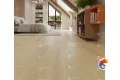SPC ламинат Тихий лес ЕСО 9-13 MC