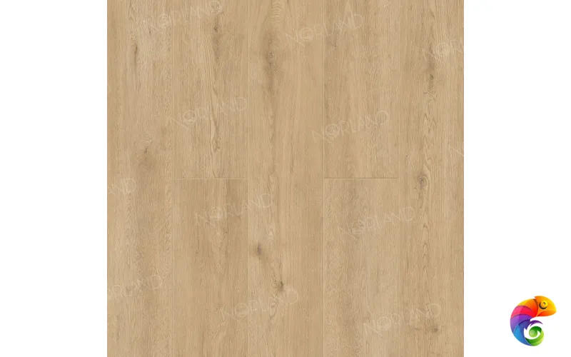 Dor 1001-3