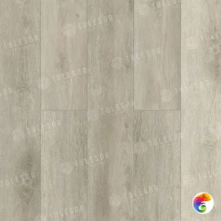 NUOVO 1004-19