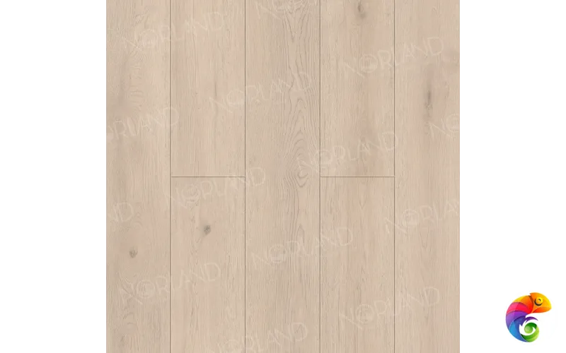 Elegant 1033-8