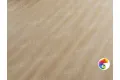 Eli 1001-6