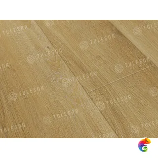 COSTANTE 1004-5