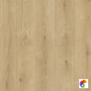 Caro 1002-9