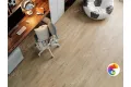 LVT плитка  Abbi 1003-1