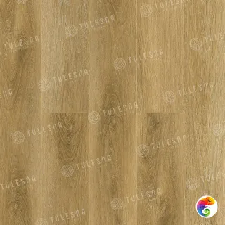 COSTANTE 1004-5