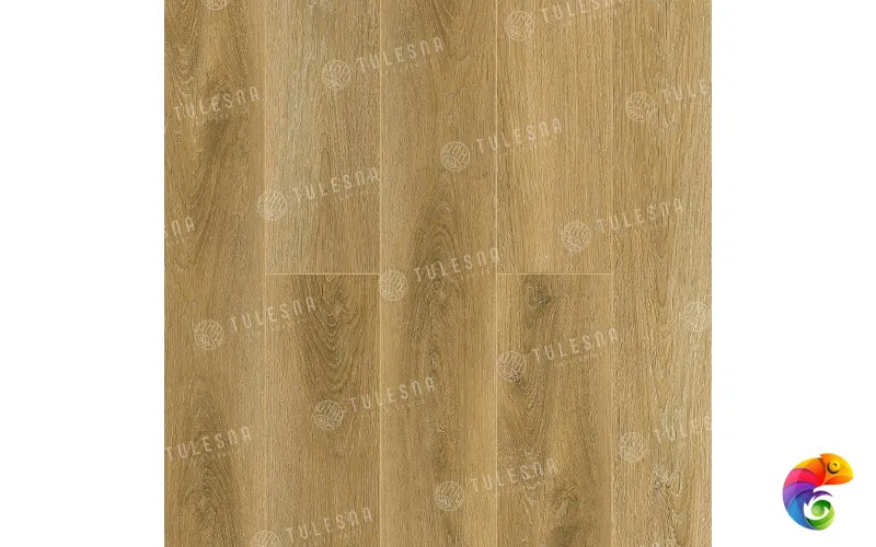 COSTANTE 1004-5