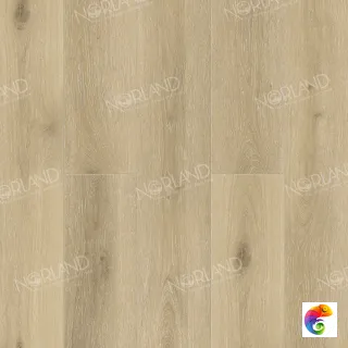 Solem 1022-10