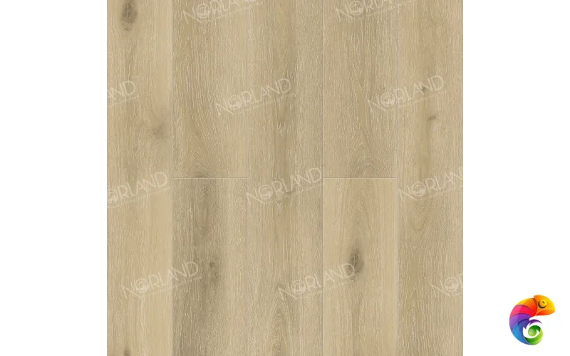 Solem 1022-10
