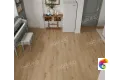 Sandra 1022-4