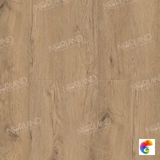 Sandra 1022-4