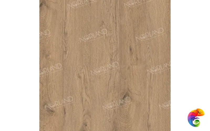 Sandra 1022-4