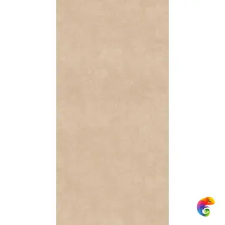 Velvet Beige nat. 60x120 0020877