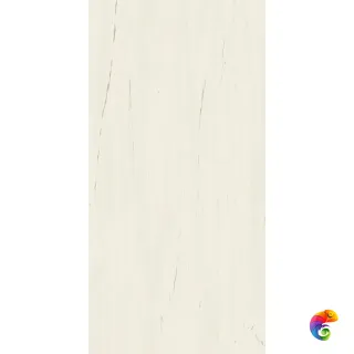 Marvel Bianco Dolomite 60x120 Lappato 60x120