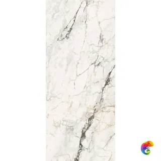 AE PAO6 278 LP 120x278