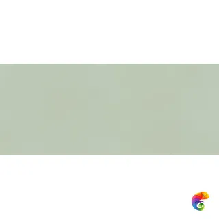 TRUE COLOR 50X120 MATCHA MATT 50X120