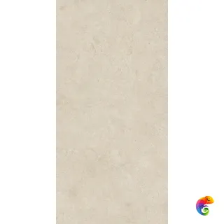 Boost Vision Camel 60x120 60x120