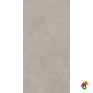 Boost Vision Grey 60x120 60x120