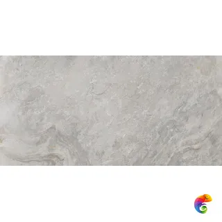 PORCELANOSA IMAGE SILVER 59.6х120 G-369