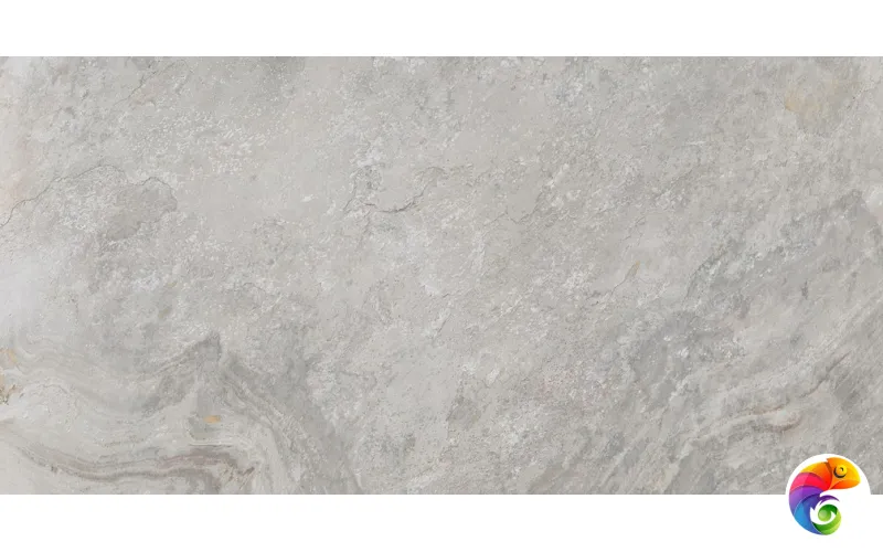 PORCELANOSA IMAGE SILVER 59.6х120 G-369