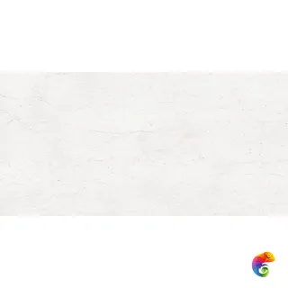 MUSEUM NUMEN WHITE SP 60х120x0.9 M-101