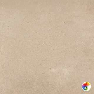 PORCELANOSA COTTO CANAMO 59.6х59.6 G-354