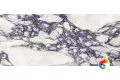 TERZADIMENSIONE CALACATTA VIOLA HONED PLUS 120х278x0.65
