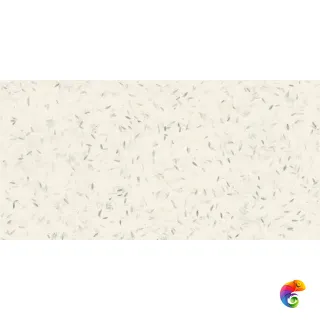 MIRAGE HANJI BEIGE PP SQ 60х120x0.9