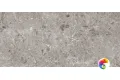 GRESPANIA COVERLAM ARTIC GRIS PULIDO 120х260х5.6