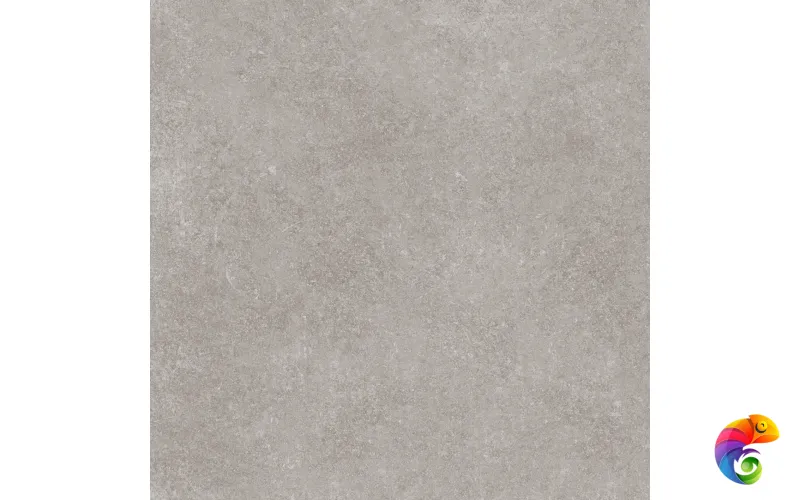 PORCELANOSA VERBIER SILVER L 120х120 G-392