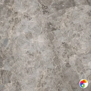 PORCELANOSA ELEGANT GREY PULIDO L 120х120 G-395