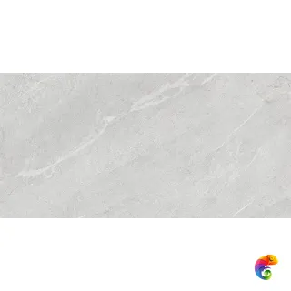 COLORKER DHARA ASH MATE 59.5х119.2 M-83