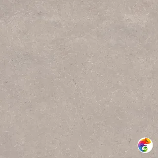 PORCELANOSA CORAL TOPO L 120х120 G-392