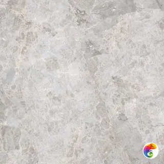 PORCELANOSA ELEGANT BONE PULIDO L 120х120 G-395