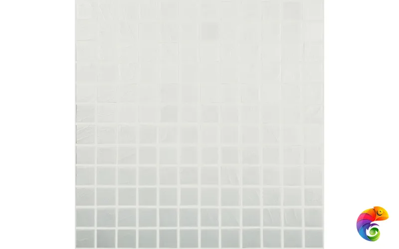 VIDREPUR ARTS ANTARTICA (2.5Х2.5) 31.5х31.5