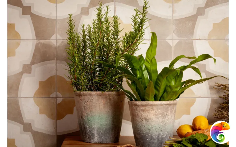 PERONDA FS FARFALLA MUSTARD 45х45x0.95 BN-14