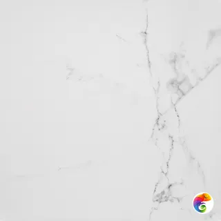 PORCELANOSA CARRARA BLANCO BRILLO L 59.6х59.6 G-347