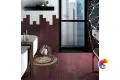EQUIPE STROMBOLI OXBLOOD 9.2х36.8 EQ-3