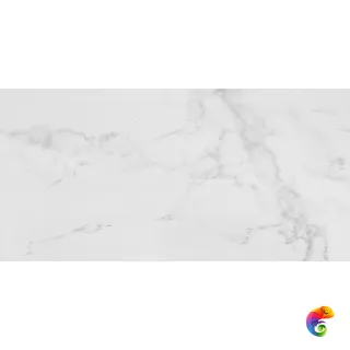 PORCELANOSA CARRARA BLANCO PULIDO 59.6x120 G-389