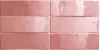 EQUIPE ARTISAN ROSE MALLOW 6.5х20 EQ-3