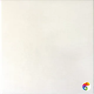 EQUIPE CAPRICE WHITE 20х20 EQ-2