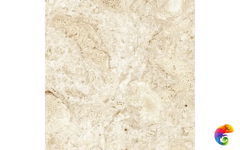 GRESPANIA COVERLAM CORALINA BLANCO 120x120x5.6