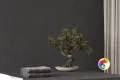 Коллекция Badrock Shadow Laparet