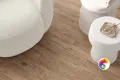 Коллекция Wisdom Ceradim