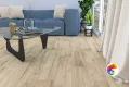 Коллекция Marty Laparet
