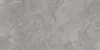 Porter Gray Керамогранит серый LP6012G0181R 59,5х119,1 матовый